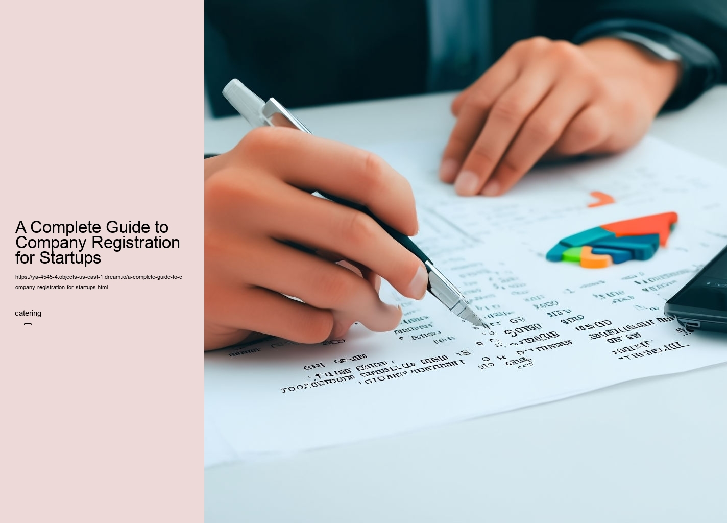 A Complete Guide to Company Registration for Startups